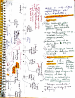 Modern History (4).pdf